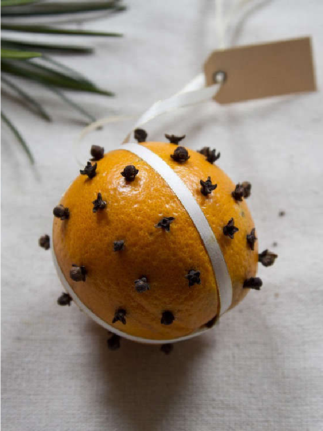 DIY Gift Orange And Clove Pomander Gardenista Web Story Gardenista