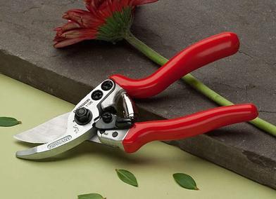 https://www.gardenista.com/ezoimgfmt/media.gardenista.com/wp-content/uploads/2015/04/fields/Gardenista-100-best-Hand-Pruners.jpg?ezimgfmt=rs:392x285/rscb9/ngcb8/notWebP