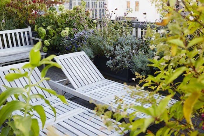 Weathered teak loungers with a silvery patina tucked amid the greenery of Vanity Fair art director Julie Weiss\2\17; Manhattan Garden. Photograph by Nicole Franzen for Gardenista.