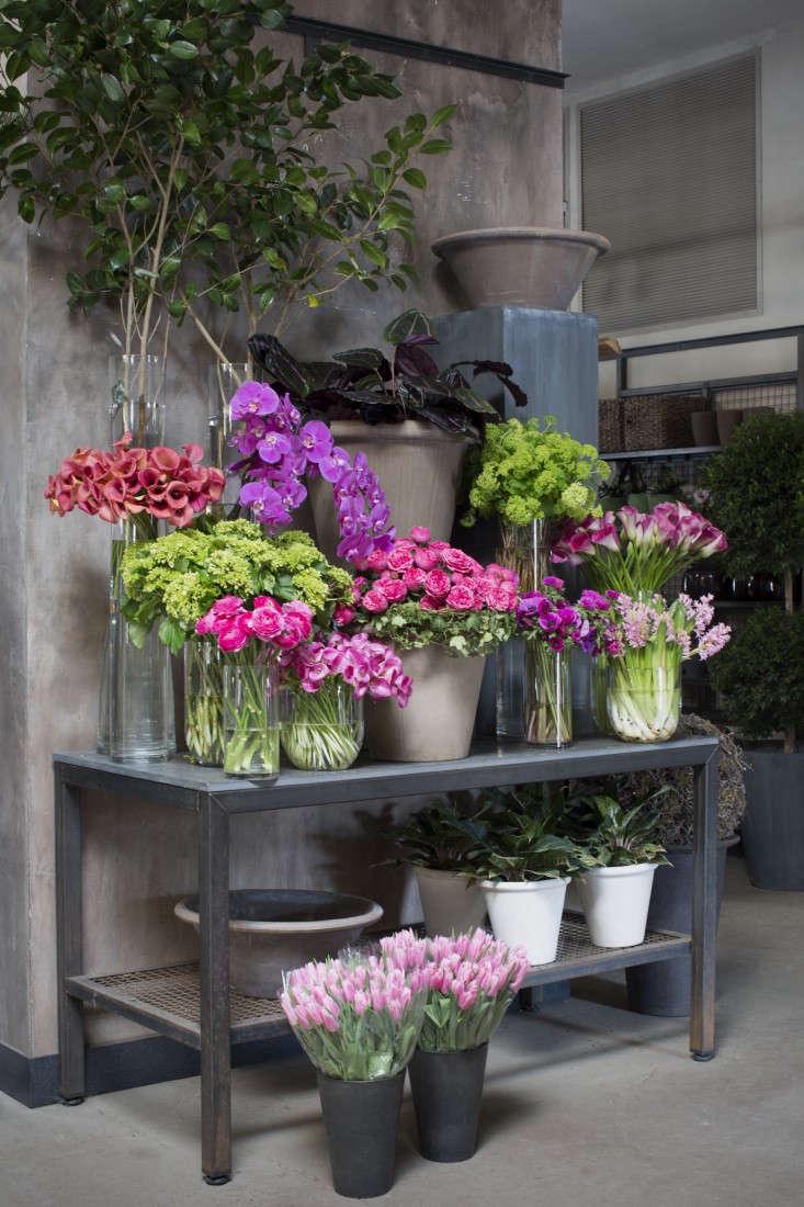 Shopper's Diary: Behind the Scenes at Winston Flowers in Boston - Gardenista