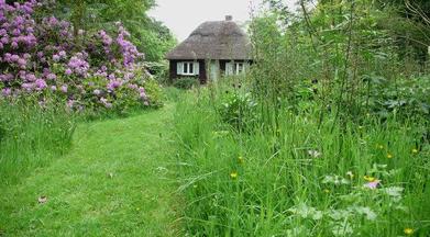 4MM TALL SUMMER GRASS PATHWAYS