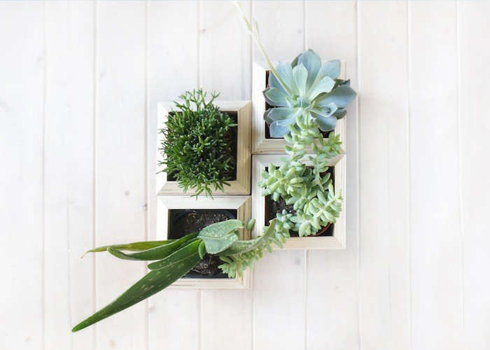 SALMON #58 store | Handmade Modern Planter