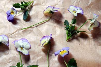 DIY: Pressed Flower Bookmarks - Gardenista