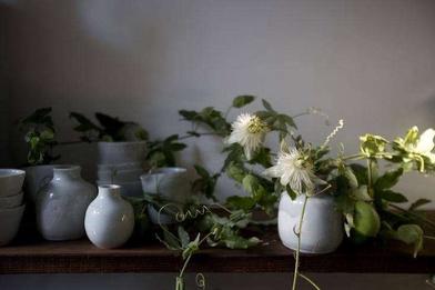 Blooming Bud Vases – WILD FORAGER