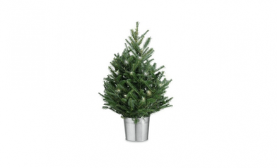 https://www.gardenista.com/ezoimgfmt/media.gardenista.com/wp-content/uploads/2015/12/tabletop-christmas-tree-williams-sonoma-733x446.png?ezimgfmt=rs:392x239/rscb9/ng:webp/ngcb8