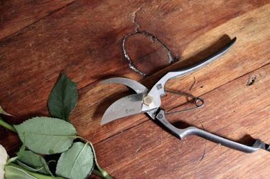 Unlimited Garden Scissors