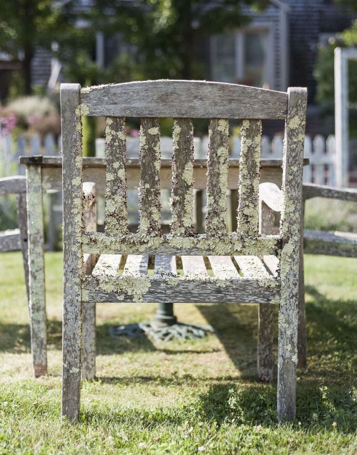 A well-loved set of outdoor wooden furniture has developed a mossy patina over time on Cape Cod. Photograph by Matthew Williams for Gardenista.