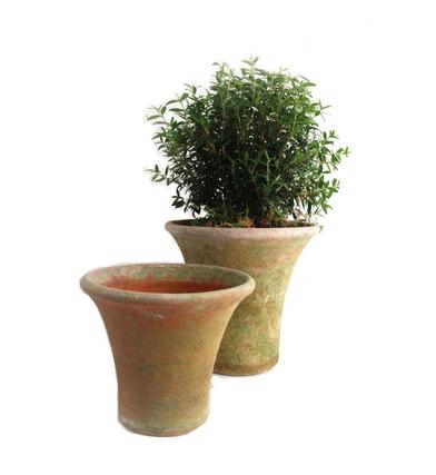 Mosscovered Clay Pots Gardening Dress Up A Clay Or Terracotta Pot With A  Coating Of Living Moss Stock Photo - Download Image Now - iStock