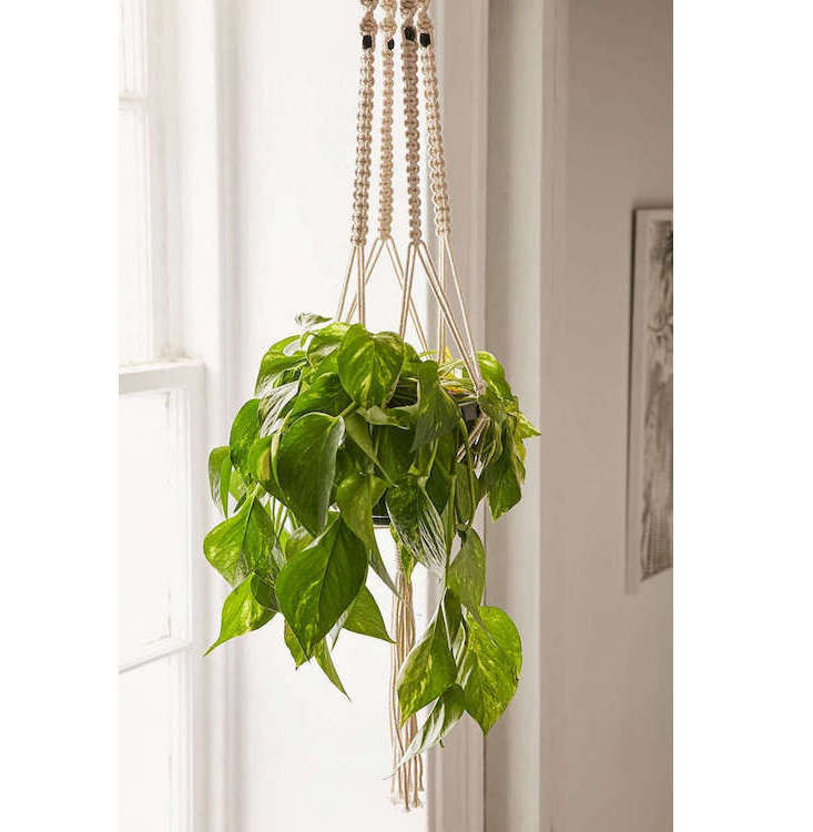 Anthropologie Macrame Plant Hanger offers