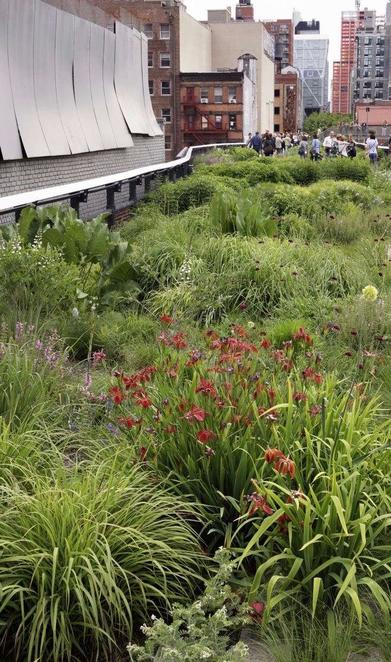 New York's High Line garden is a masterclass in urban regeneration