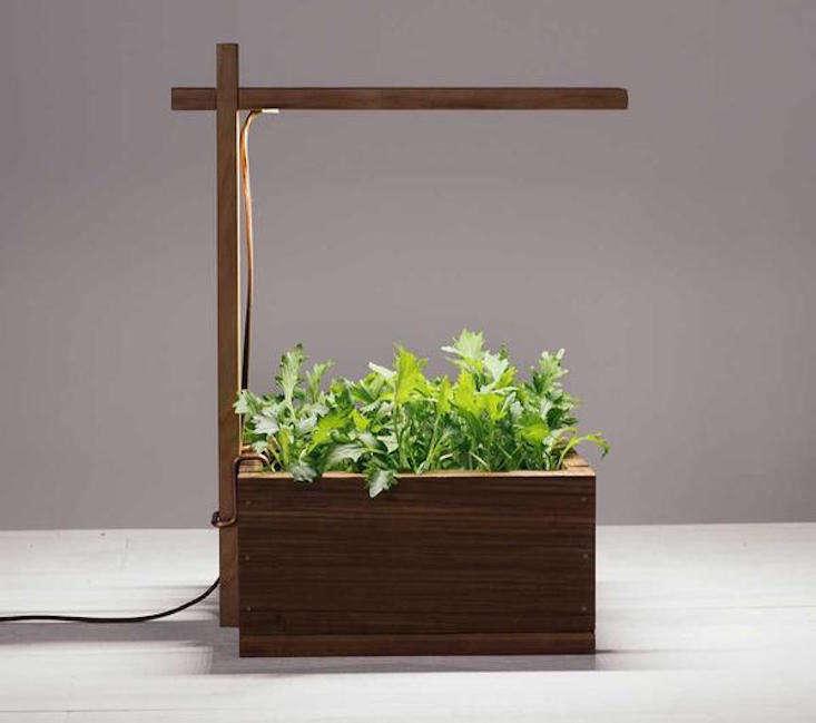 https://www.gardenista.com/ezoimgfmt/media.gardenista.com/wp-content/uploads/2017/07/light-box-opus-grows-indoor-grow-lights.jpg?ezimgfmt=ng%3Awebp%2Fngcb8%2Frs%3Adevice%2Frscb9-2