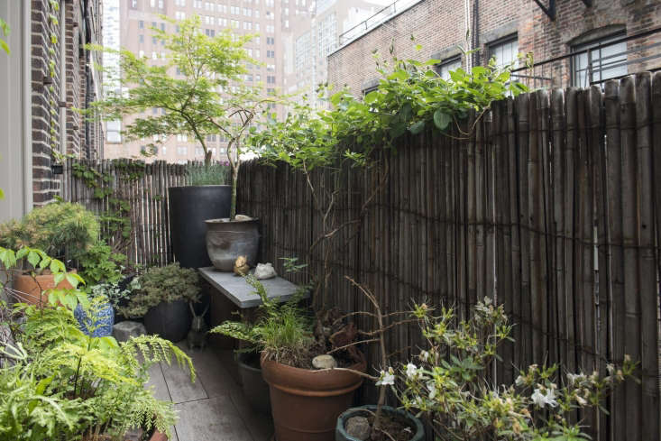 Backyard rentals online