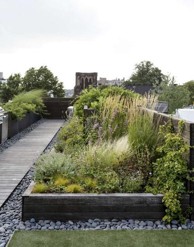 The Evergreen Benefits of Rooftop Gardening