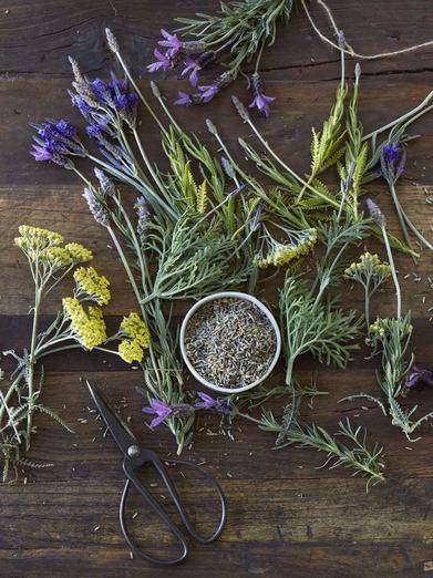 Best Herbals, Tisanes & Flowers rarely available in U.S. market