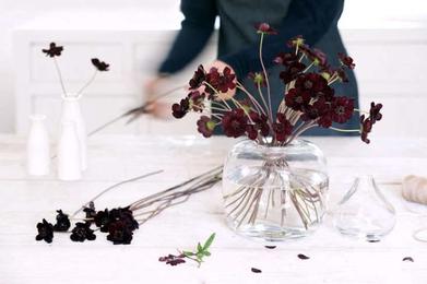 Table Bud Vases — Philippa Craddock