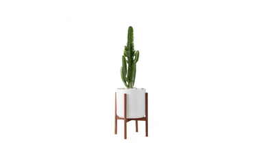 https://www.gardenista.com/ezoimgfmt/media.gardenista.com/wp-content/uploads/2018/05/midcentury-modern-cylinder-12-inch-planter-east-pine-etsy-733x442.png?ezimgfmt=rs:392x236/rscb9/ng:webp/ngcb8