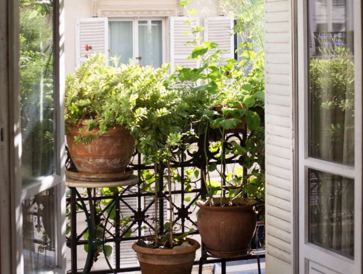 Perfect Parisian Balcony Gardens: 7 Favorites from the Gardenista