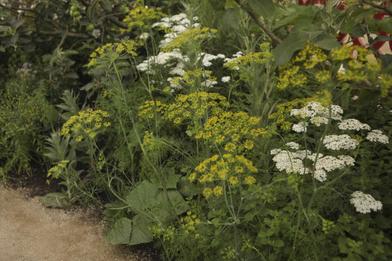 The Garden Decoder: What Is a 'Potager'? - Gardenista