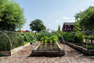 Botanica brings organic, edible gardens home