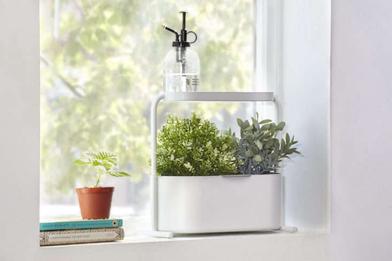 indoor herb garden kit with light