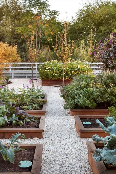 https://www.gardenista.com/ezoimgfmt/media.gardenista.com/wp-content/uploads/2019/03/joanna-gaines-garden-raised-beds-733x1100.jpg?ezimgfmt=rs:392x588/rscb9/ng:webp/ngcb8