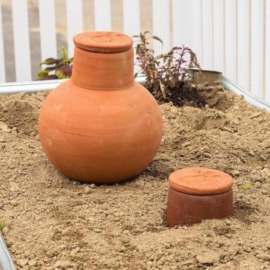 Olla Watering Vessels: What Are They? And the Best Ones to Buy