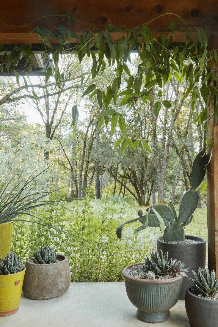 Garden Visit At Home with Photographer Caitlin Atkinson in Santa