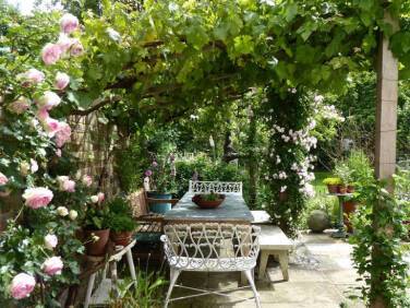 Cottage garden en pots – Un jardin à l'anglaise sur mon balcon - Mango and  Salt
