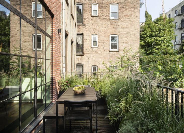 The terrace just off the kitchen on the parlor floor. A fragrant crowd of Solidago ordera, echinacea, lavender, thyme, and rosemary, and Pennisetum orientale ‘Karly Rose’ fill the planters here.