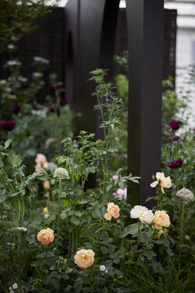 See Mothers for Mothers garden Polly Wilkinson All About Plants Show gardens  at RHS Chelsea Flower Show 2022 / RHS Gardening