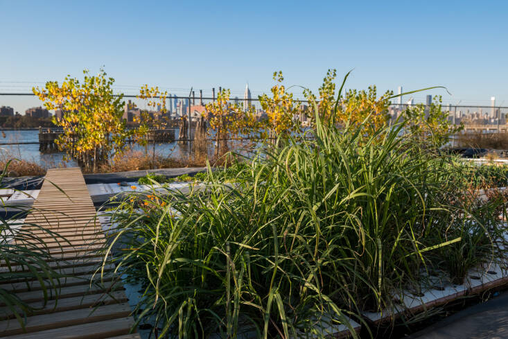 Aquaponics Is This Closed Loop System for You Gardenista