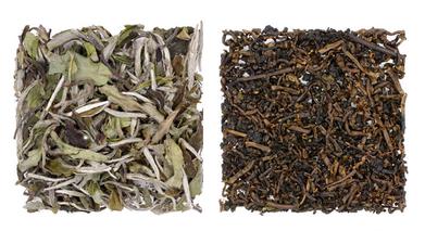 How to Make Loose Leaf Tea - Tea Brewing Methods - In Pursuit of Tea