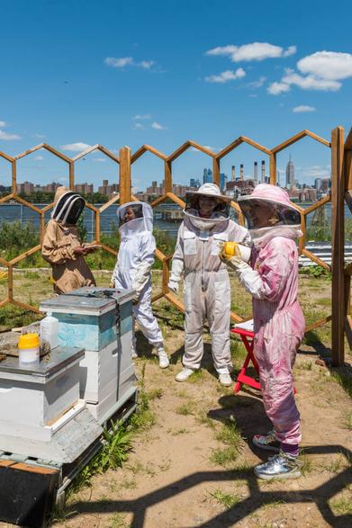 DIY Bee Gift Basket: Ideas for Bee-Lovers- Carolina Honeybees