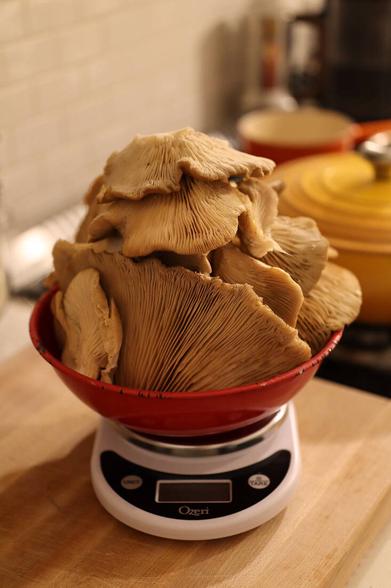 Wood Ear Mushrooms: A Delicate Treat - Gardenista