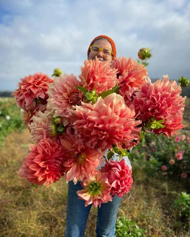 What Do You Use to Cut Flower Stems? A Florist's Guide. — Walden