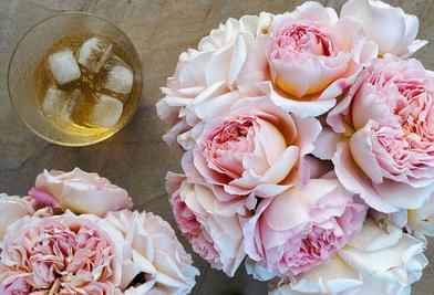 Edible rose petals: Recipes to enjoy your roses - The English Garden