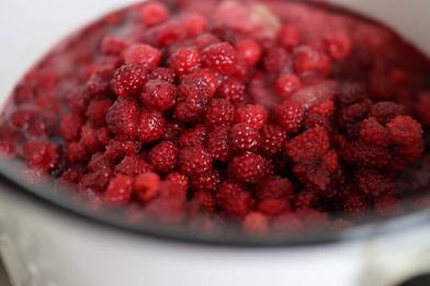 https://www.gardenista.com/ezoimgfmt/media.gardenista.com/wp-content/uploads/2023/07/wineberry-preserves-pot-marie-viljoen-733x489.jpg?ezimgfmt=rs:392x262/rscb9/ngcb8/notWebP