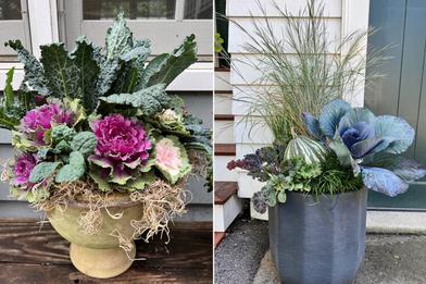 7 Planting Tips for Large Garden Pots