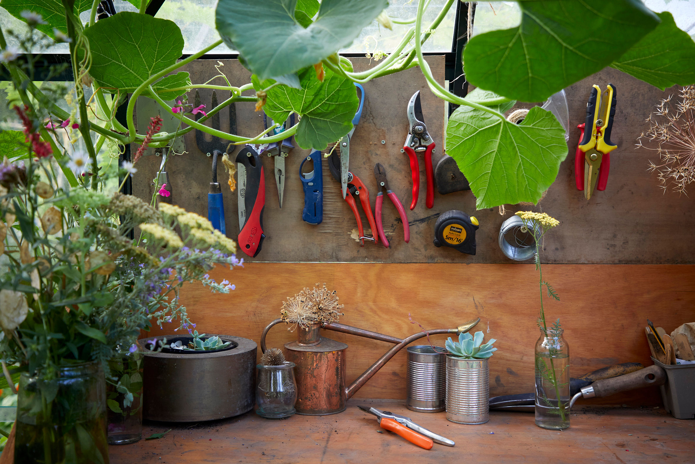 Garden Designer Visit: How Stefano Marinaz Uses His London Allotment as a Garden Laboratory