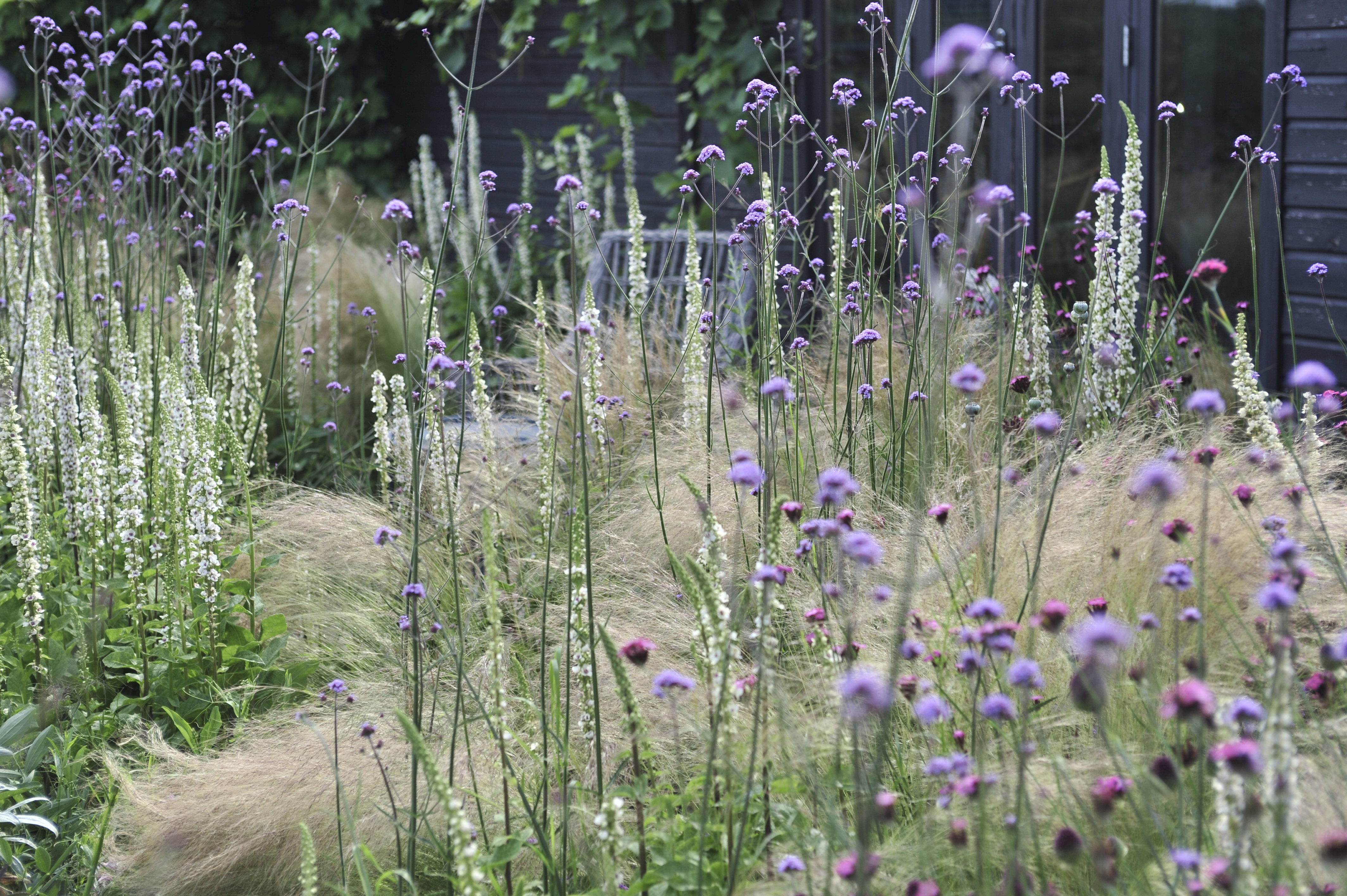 Lessons Learned: The Gravel Garden that (Almost) Looks After Itself