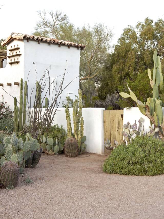 10 Ideas to Steal from Desert Gardens - Gardenista Web Story - Gardenista