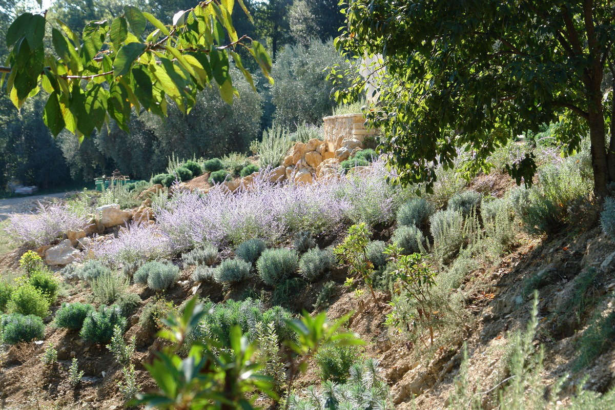 10 Garden Ideas to Steal from Provence - Gardenista