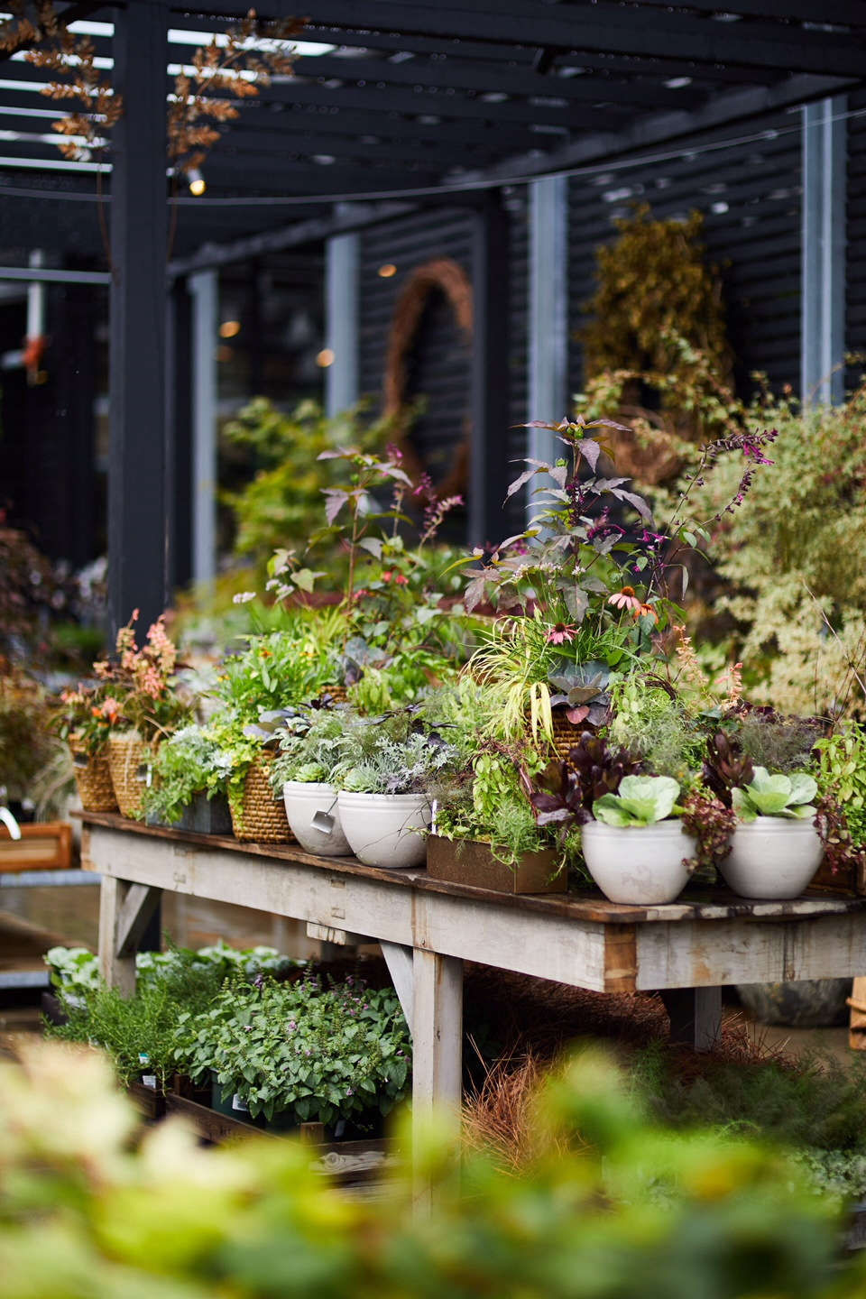 Philadelphia Story: Terrain's New Shop on the Main Line - Gardenista