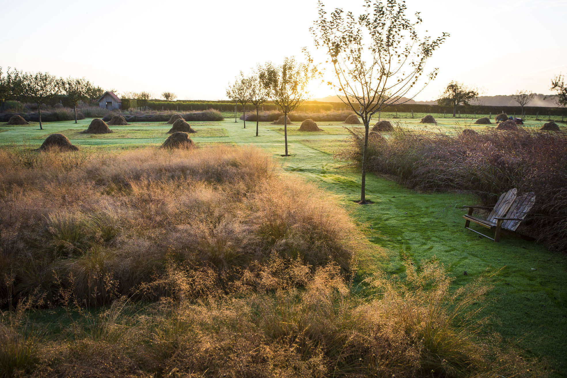 Le Jardin Plume: A Modern Impressionist Masterpiece in Normandy - Gardenista