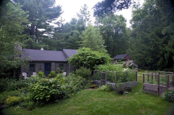 Gardening 101: How to Grow Vegetables in the Shade