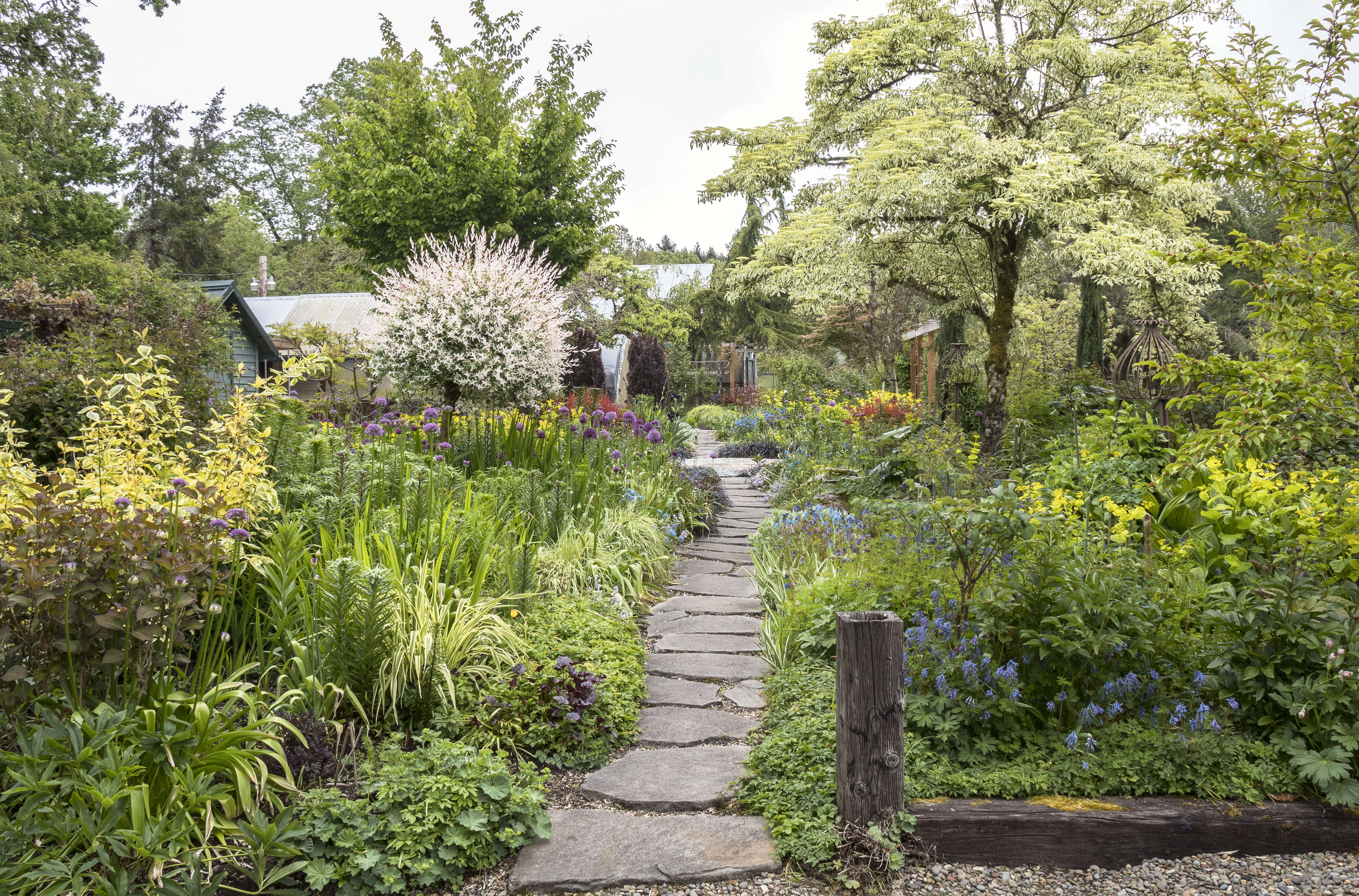 Crazy Quilt Garden: A Revolutionary Way to Create a Tapestry of Color - Gardenista