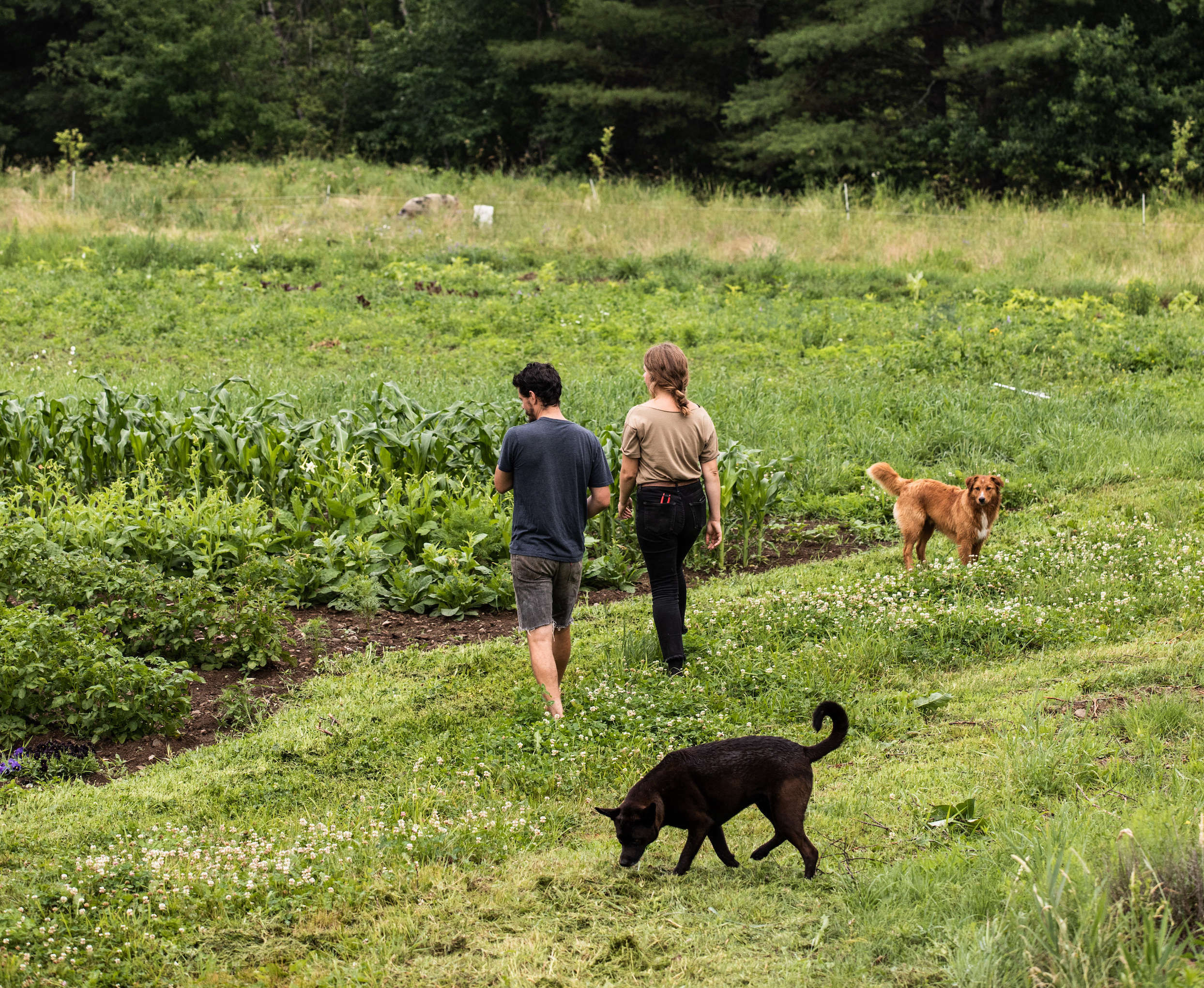 13 Ideas to Steal from Maine's Young DIY Farmers - Gardenista