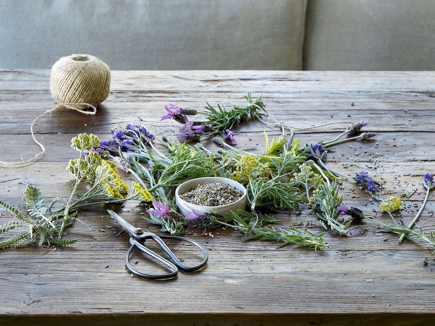 Herbs: A Guide to Planting, Care & Design from the Editors at Gardenista