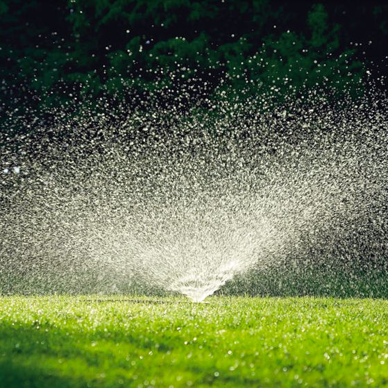 A Good Old-Fashioned Sprinkler - Gardenista