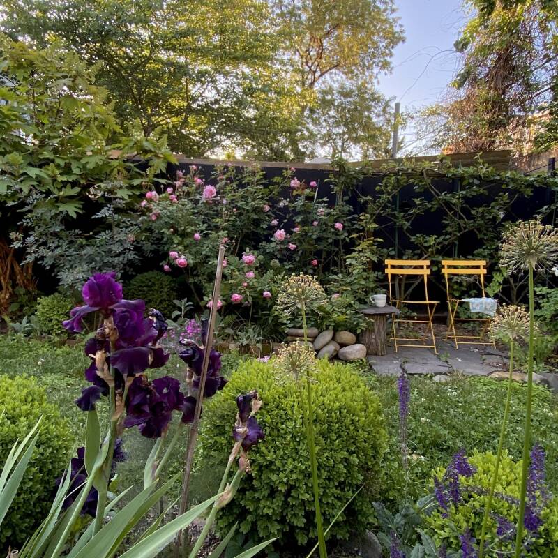 A Clever Parisian Balcony Planter Straddles a Railing - Gardenista